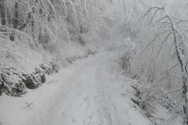2022_12_20 Čelovnik in Lovrenc - foto