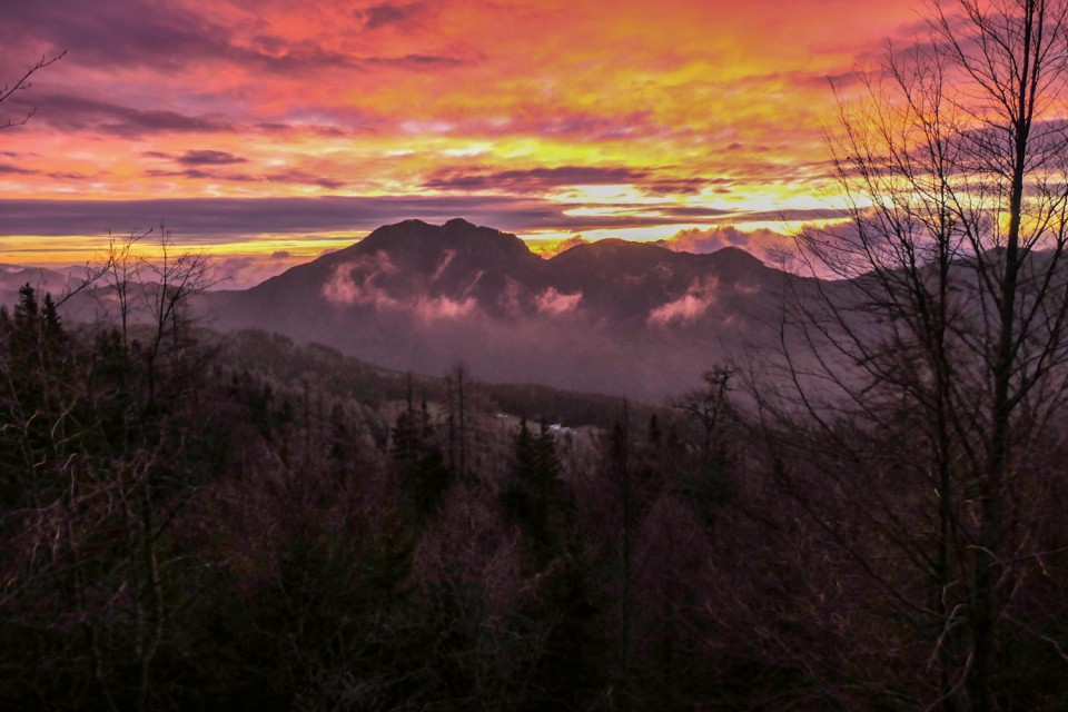 2022_12_31 Lastovec in Deska - foto povečava