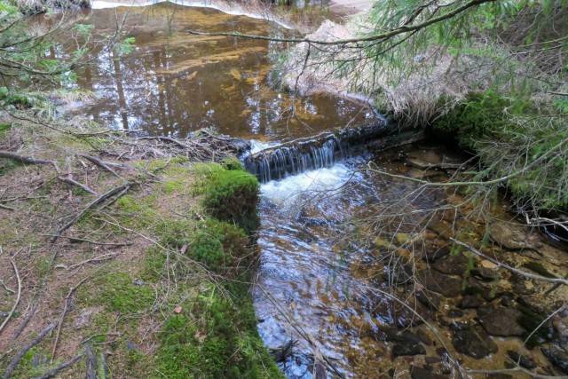 2023_01_07 Osankarica  - foto