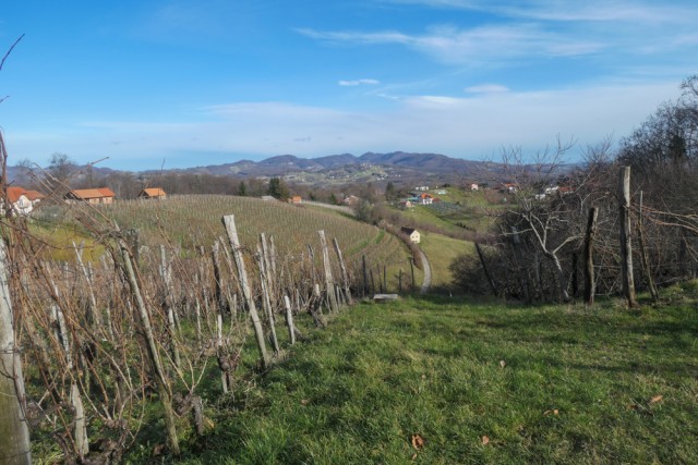 2023_01_10 Grmada nad Krškim - foto