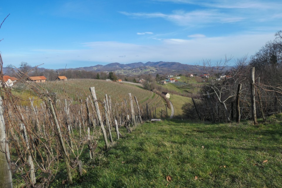 2023_01_10 Grmada nad Krškim - foto povečava