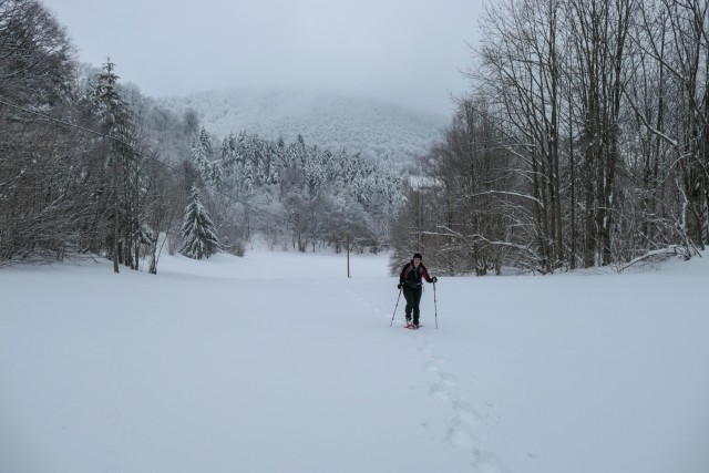 2023_01_29 Veliko Kozje ( 993 m )  - foto