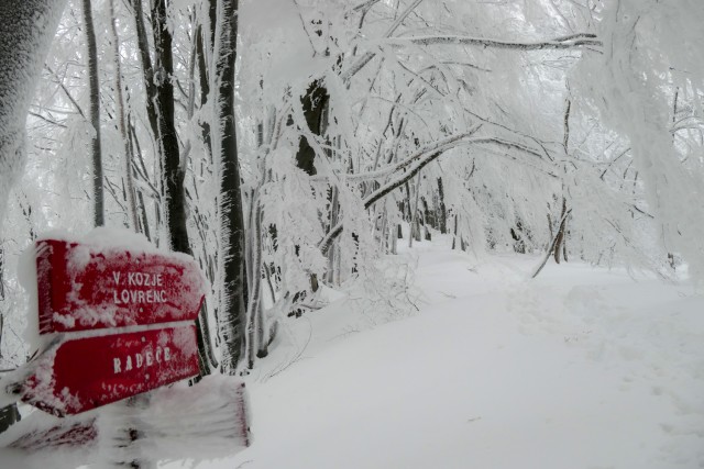 2023_01_29 Veliko Kozje ( 993 m )  - foto