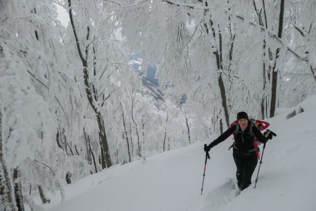 2023_01_29 Veliko Kozje ( 993 m )  - foto