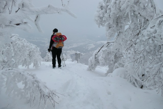 2023_01_29 Veliko Kozje ( 993 m )  - foto