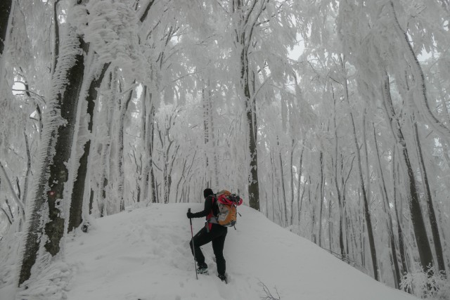 2023_01_29 Veliko Kozje ( 993 m )  - foto