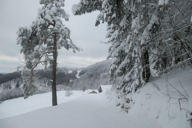 2023_01_29 Veliko Kozje ( 993 m )  - foto