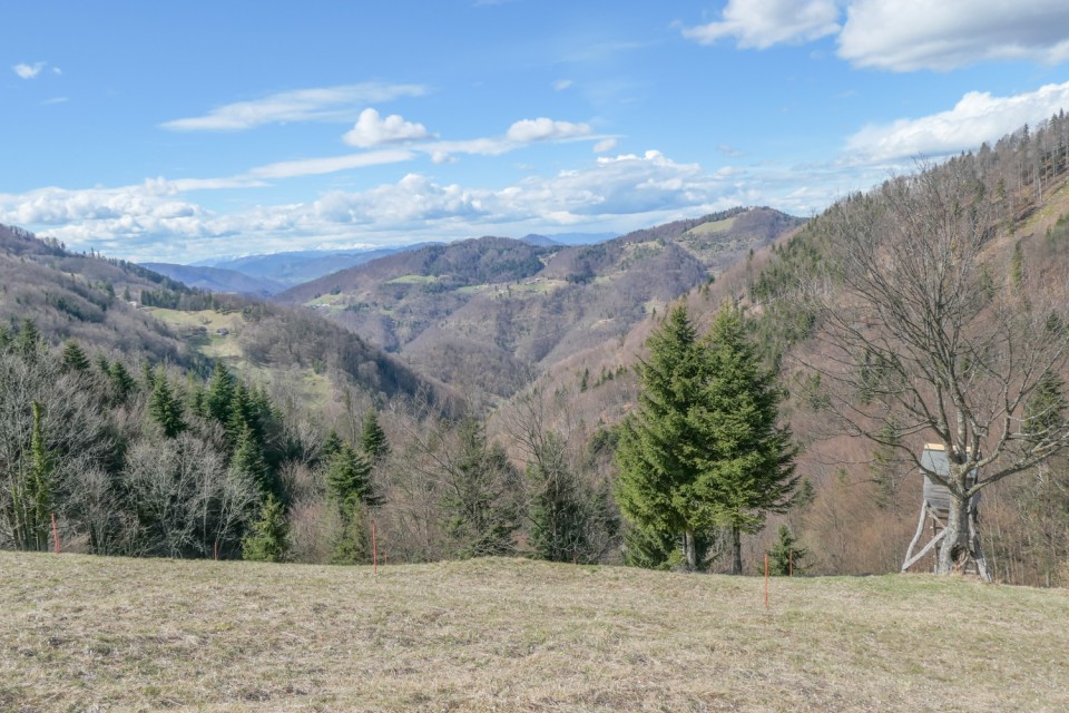 2023_04_02 Lisca - Ješivec - Ivc - foto povečava
