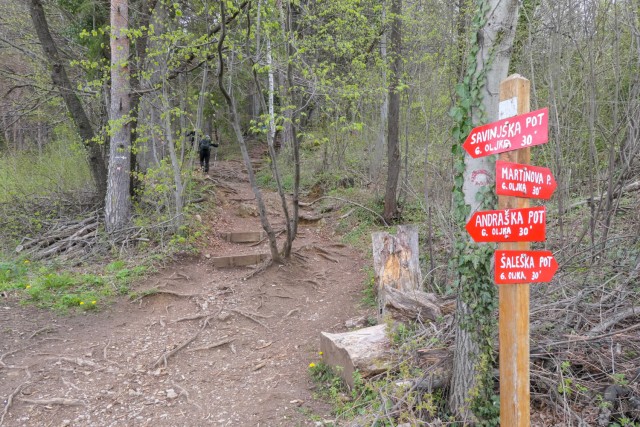 2023_04_18 Gora Oljka ( 733 m ) - foto