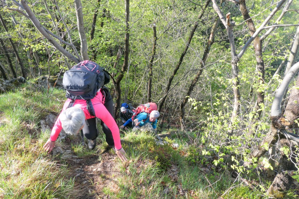 2023_04_25 Lisca iz Loke pri Z/M - foto povečava