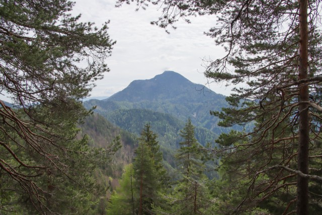 2023_05_06 Pogorevc - foto
