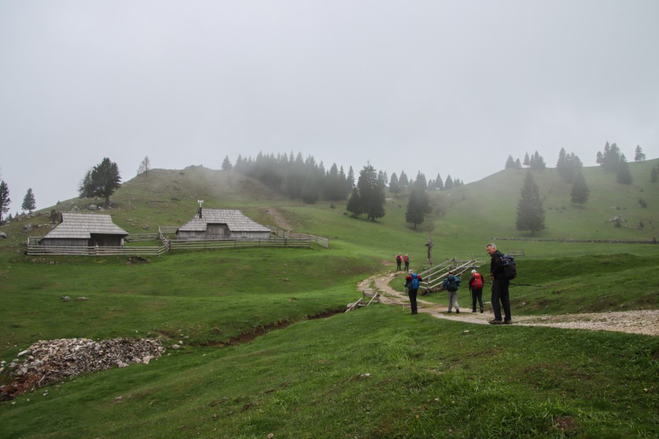 2023_05_09 Gradišče 1666 m - Velika planina - foto povečava