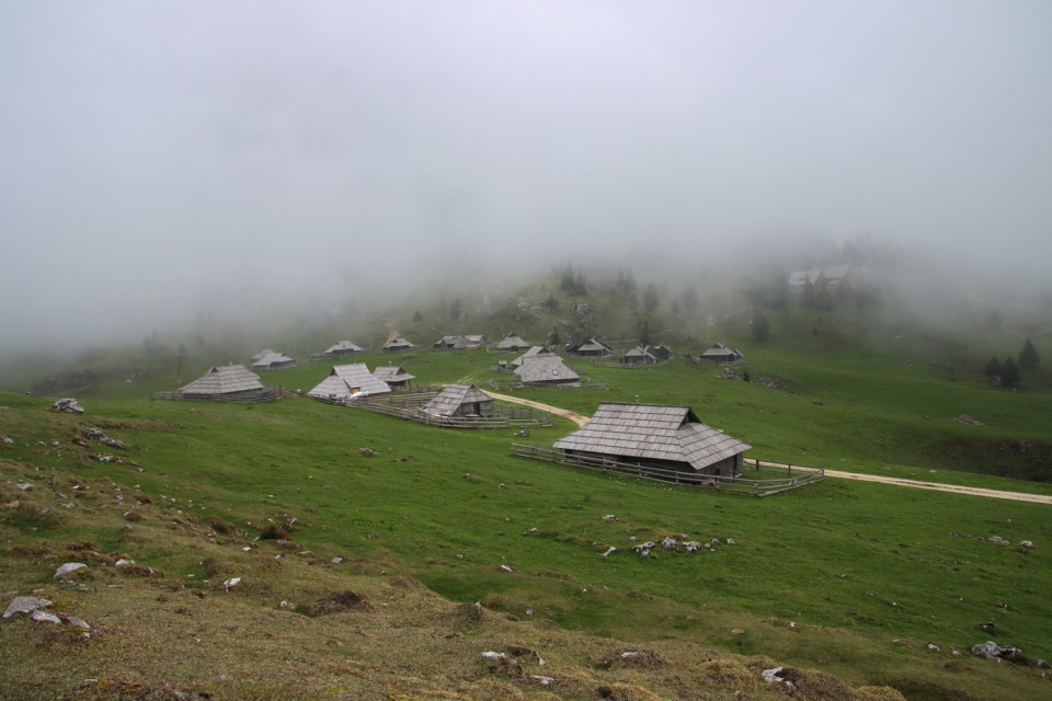 2023_05_09 Gradišče 1666 m - Velika planina - foto povečava