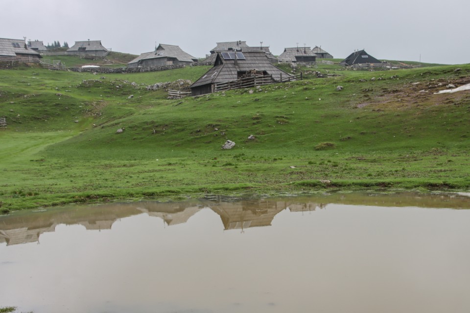 2023_05_09 Gradišče 1666 m - Velika planina - foto povečava