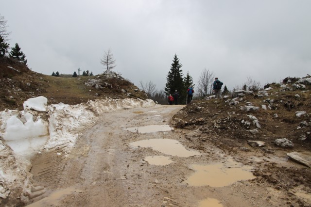 2023_05_09 Gradišče 1666 m - Velika planina - foto