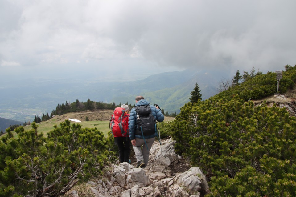 2023_05_09 Gradišče 1666 m - Velika planina - foto povečava