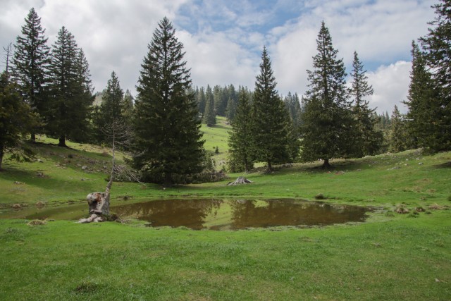 2023_05_09 Gradišče 1666 m - Velika planina - foto