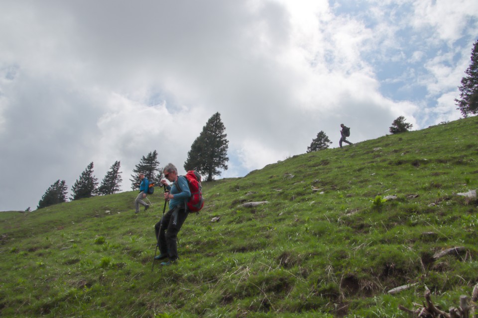 2023_05_09 Gradišče 1666 m - Velika planina - foto povečava