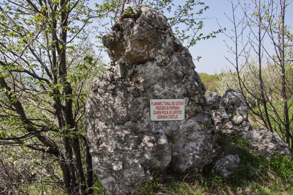 2023_05_23 Čaven in Veliki Modrasovec - foto povečava
