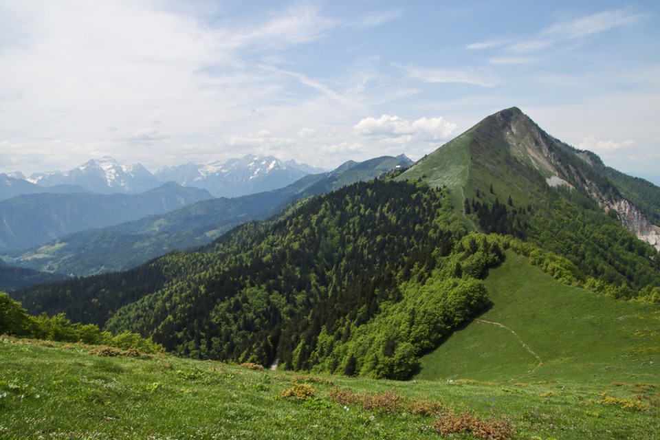 2023_05_30 Struška in Golica - foto povečava