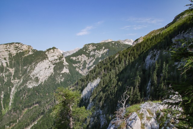 2023_07_11 Lastovec Deska Tolsti vrh - foto