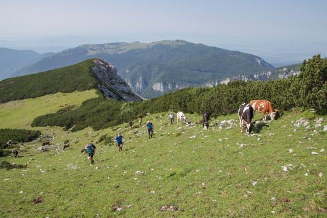 2023_07_11 Lastovec Deska Tolsti vrh - foto