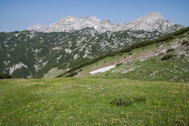 2023_07_11 Lastovec Deska Tolsti vrh - foto