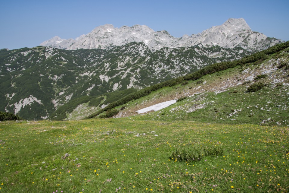 2023_07_11 Lastovec Deska Tolsti vrh - foto povečava