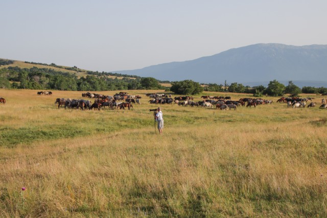 2023_07_12 Bosna 1. dan - foto