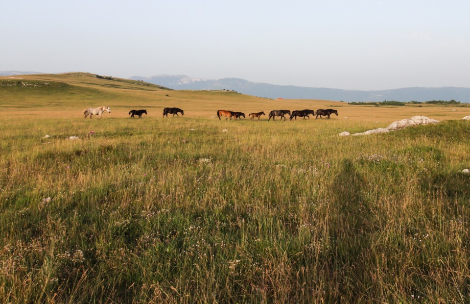 2023_07_13 Bosna 2. dan - foto povečava