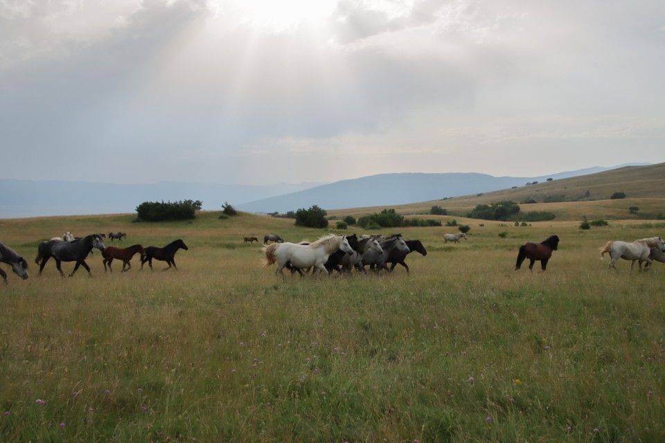 2023_07_13 Bosna 2. dan - foto povečava