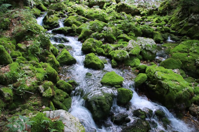 2023_07_28 5. dan Bosna - Treskavica - jezera - foto