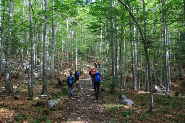 2023_08_08 Snežnik ( 1796 m )  - foto