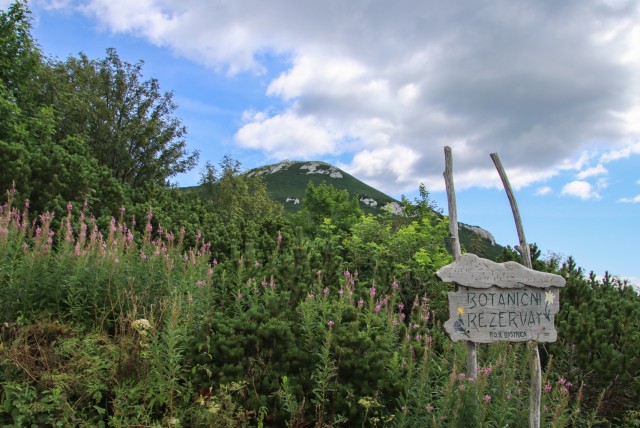 2023_08_08 Snežnik ( 1796 m )  - foto