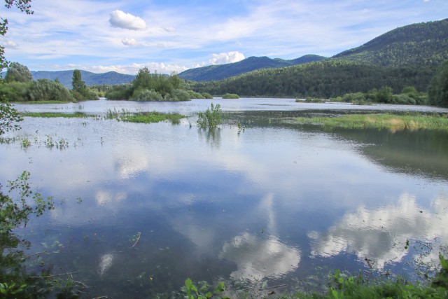 2023_08_08 Snežnik ( 1796 m )  - foto