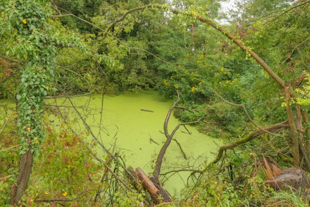 2023_09_24 Radeče -Vrhovo -Loka - Radeče - foto
