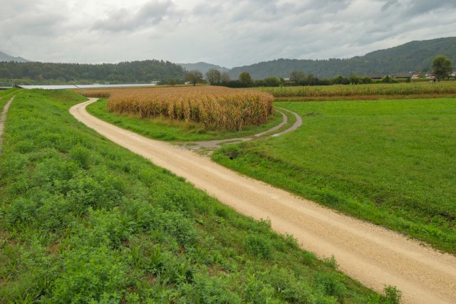 2023_09_24 Radeče -Vrhovo -Loka - Radeče - foto