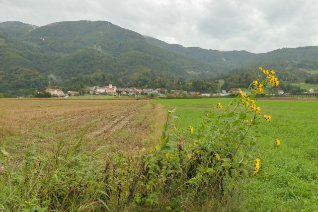 2023_09_24 Radeče -Vrhovo -Loka - Radeče - foto