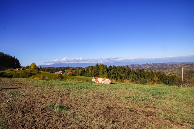 2023_11_07 Žavcarjev vrh ( 915 m ) - foto