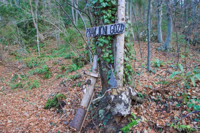 2024_01_03 Planina pri Sevnici - foto sreda - foto