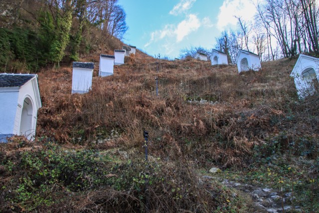 2024_01_03 Planina pri Sevnici - foto sreda - foto