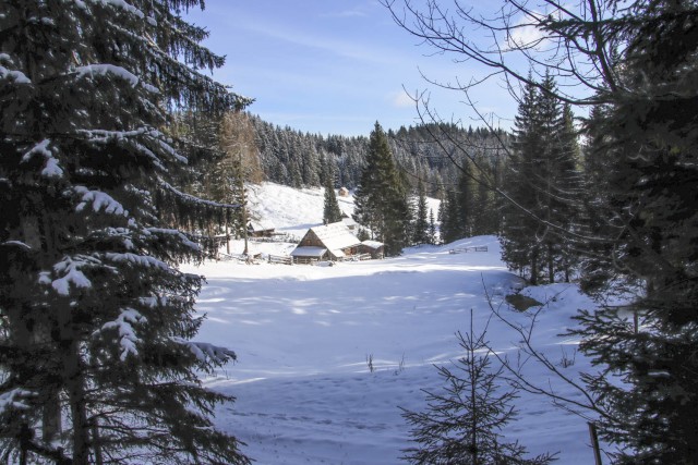 2024_01_10 planina Zajamnik ( 1280 m ) - foto