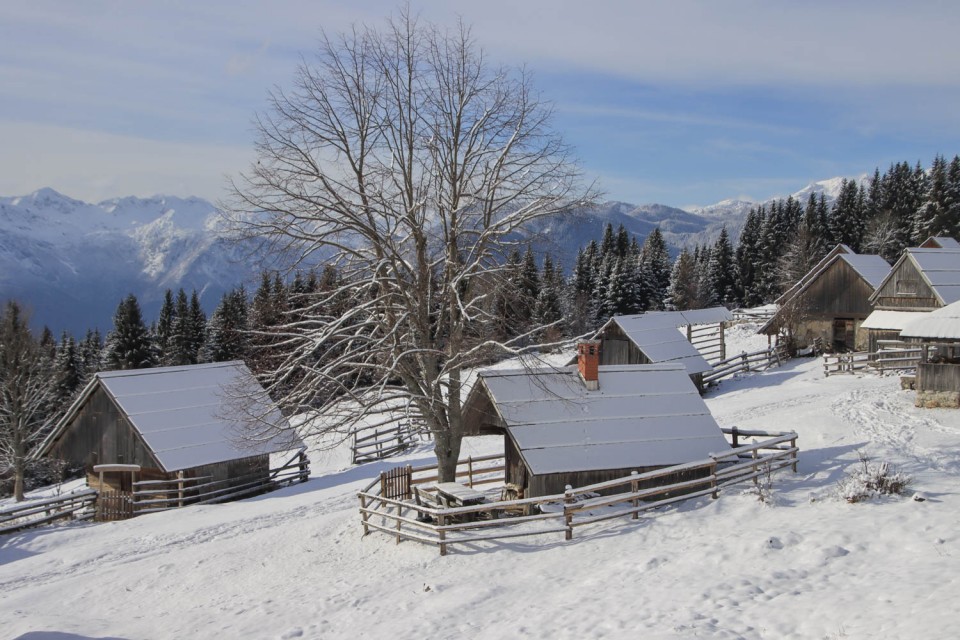 2024_01_10 planina Zajamnik ( 1280 m ) - foto povečava