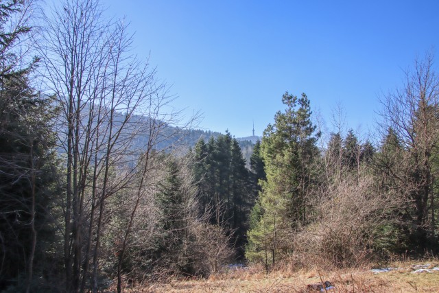 2024_01_30 Sljeme ( 1030 m ) - foto