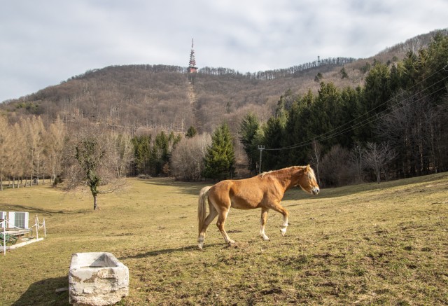 2024_03_05 Boč ( 978 m ) - foto