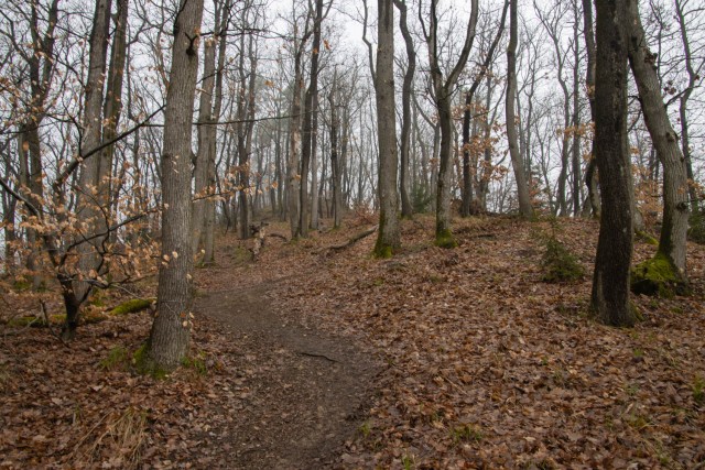 2024_03_10 gora Oljka ( 733 m ) - foto