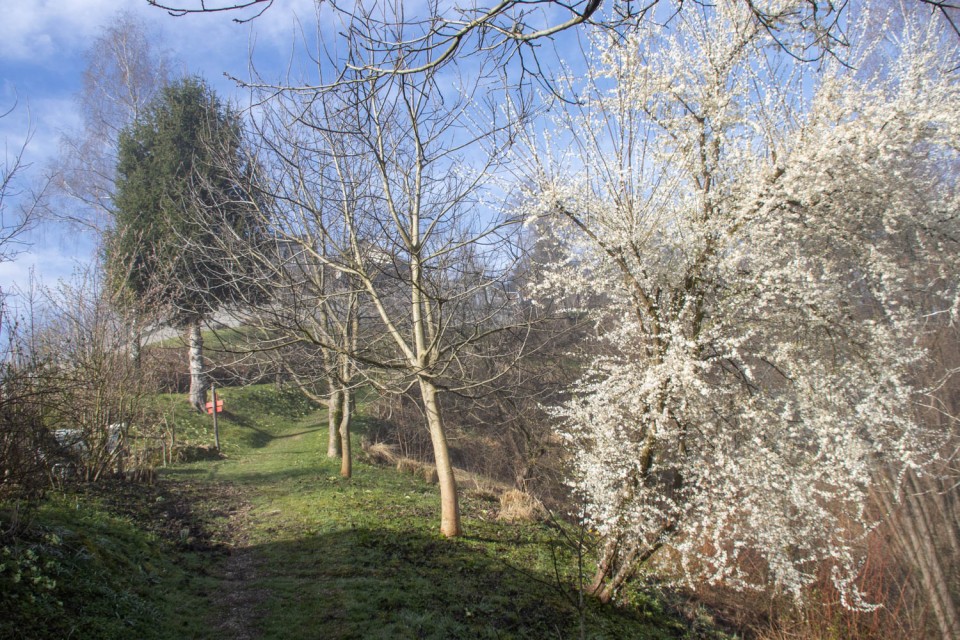 2024_03_17 Koča na Brnici ( 457 m ) - foto povečava