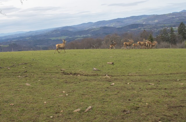 2024_03_26 Tržišče - Sevnica - foto