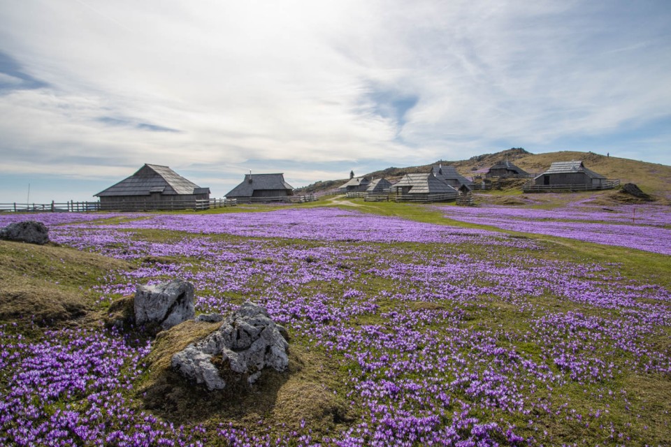 2024_04_05 Velika planina - foto povečava