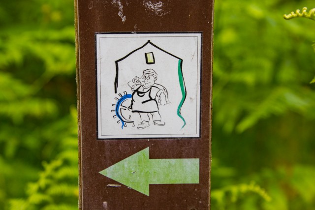 2024_05_28 Bučka - Mlinarjeva oit - foto